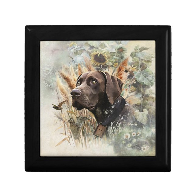 German Shorthaired Pointer Gift Box (Front)