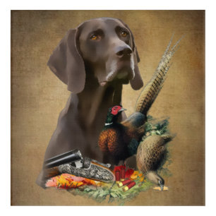 German Shorthaired Pointer GSP Acrylic Print