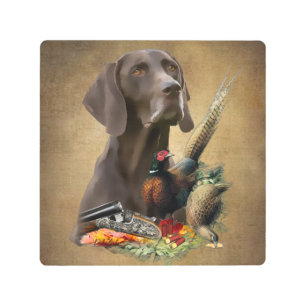 German Shorthaired Pointer GSP Metal Print