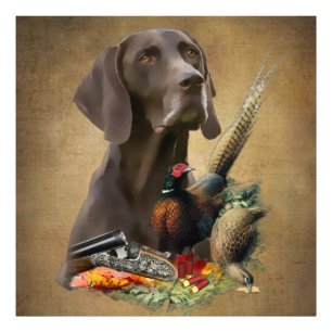 German Shorthaired Pointer GSP Photo Print