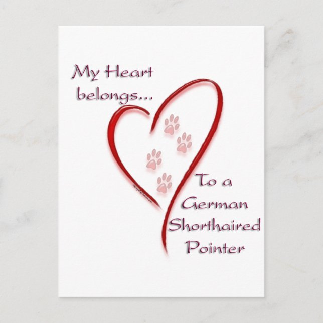 German Shorthaired Pointer Heart Belongs Postcard (Front)