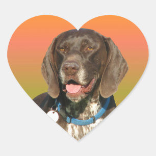 German Shorthaired Pointer Heart Sticker