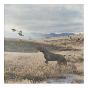 German Shorthaired Pointer hunt quail , Art