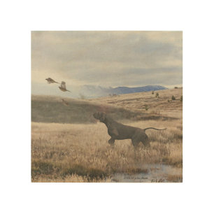German Shorthaired Pointer hunt quail , Art