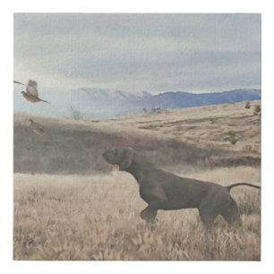 German Shorthaired Pointer hunt quail , Art   Faux Canvas Print