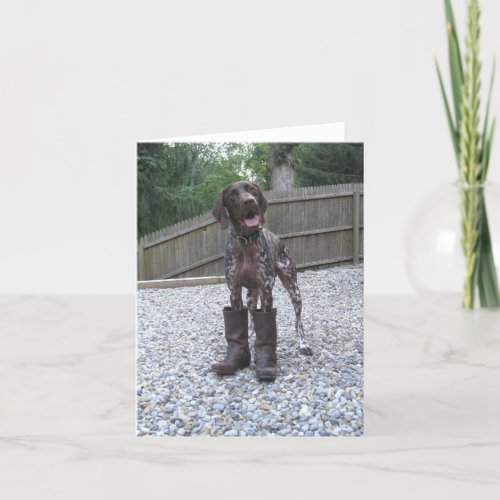 German Shorthaired Pointer in Boots Card