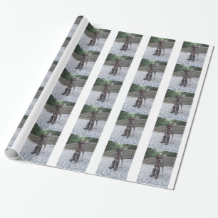 German Shorthaired Pointer in Boots Wrapping Paper