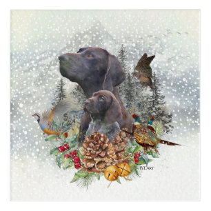 German Shorthaired Pointer in winter Acrylic Print