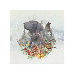 German Shorthaired Pointer in winter Metal Print