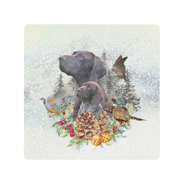 German Shorthaired Pointer in winter  Metal Print (Front)