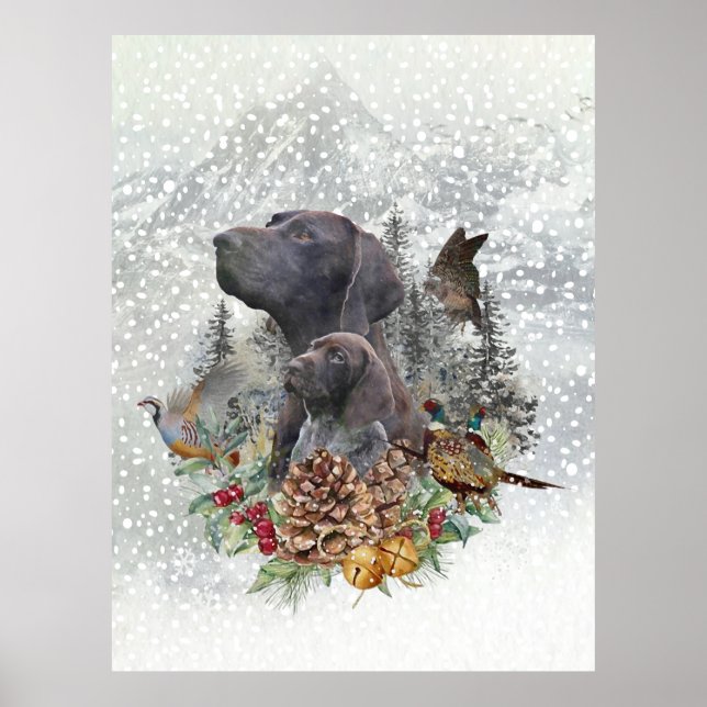 German Shorthaired Pointer in winter    Poster (Front)