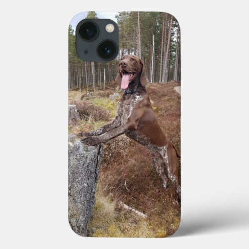 German Shorthaired Pointer iphone case