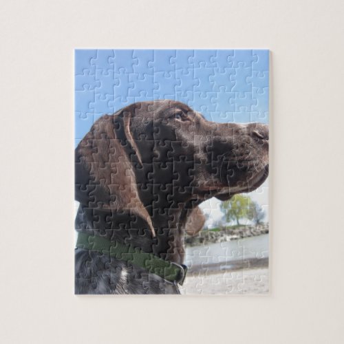 German Shorthaired Pointer Jigsaw Puzzle