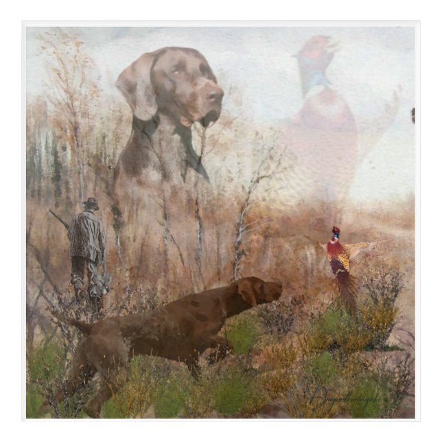 German Shorthaired Pointer , kurzhaar Acrylic Print (Front)