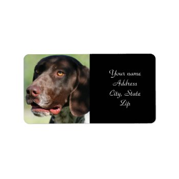 German Shorthaired Pointer Label by ritmoboxer at Zazzle