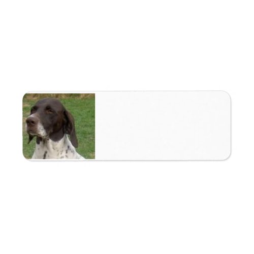german shorthaired pointer liver and white label
