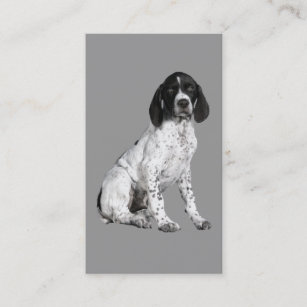 German Short Haired Pointer Business Cards Business Card