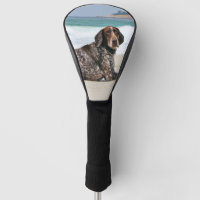 German Shorthaired Pointer - Luke - Riley