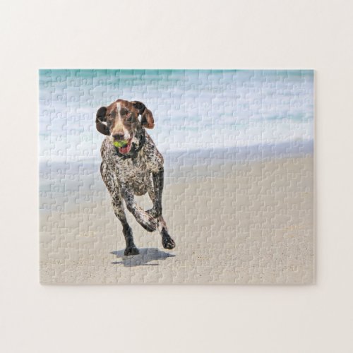 German Shorthaired Pointer _ Luke _ Riley Jigsaw Puzzle