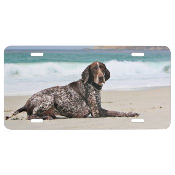 German Shorthaired Pointer - Luke - Riley License Plate by SayWoof at Zazzle