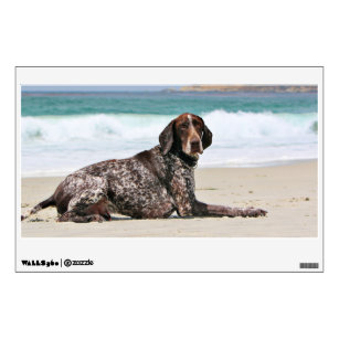 German Shorthair Wall Decals Stickers Zazzle