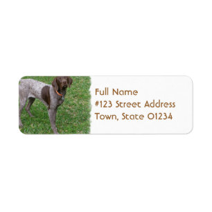 German Shorthaired Pointer Mailing Label