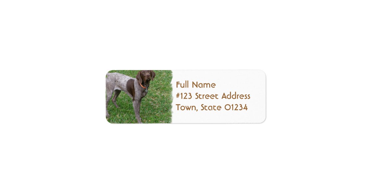 German Shorthaired Pointer Mailing Label | Zazzle