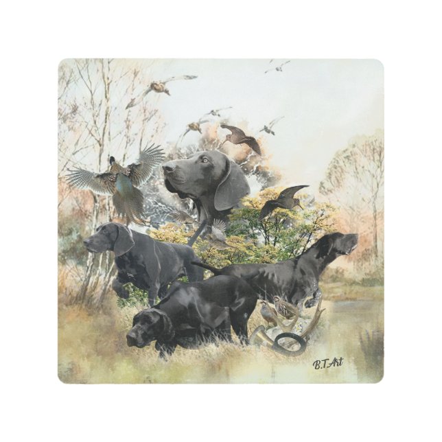 German Shorthaired pointer   Metal Print (Front)