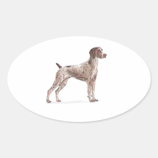 German Shorthaired Pointer Oval Sticker (Front)