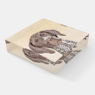 German Shorthaired Pointer Painting - Original Art Paperweight