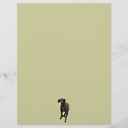 German Shorthaired Pointer Pet-lover (Front)