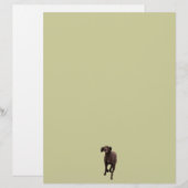 German Shorthaired Pointer Pet-lover (Front/Back)