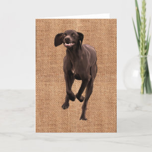 German Shorthaired Pointer Pet-lover Card