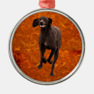 German Shorthaired Pointer Pet-lover Metal Ornament