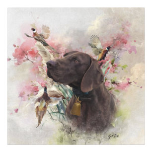 German shorthaired pointer photo print