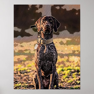 German Shorthaired Pointer, Pointer, GSP Poster