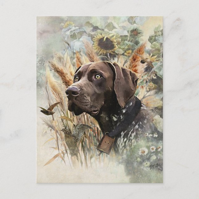 German Shorthaired Pointer Postcard (Front)