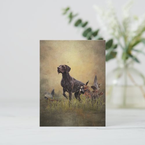 German Shorthaired Pointer    Postcard