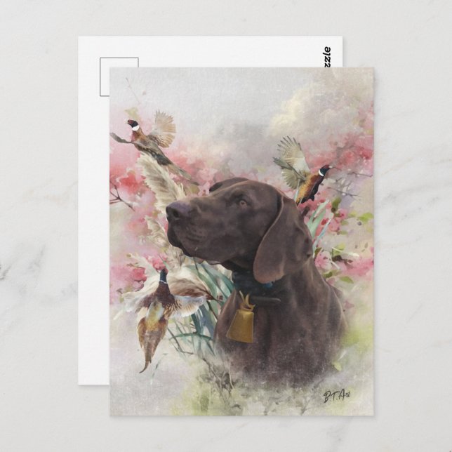 German shorthaired pointer  postcard (Front/Back)