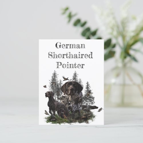 German Shorthaired Pointer     Postcard