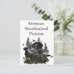 German Shorthaired Pointer Postcard