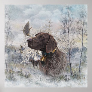 German Shorthaired Pointer Poster