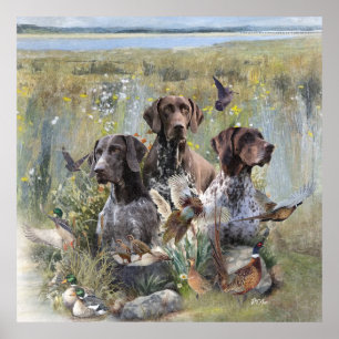 German Shorthaired Pointer Poster