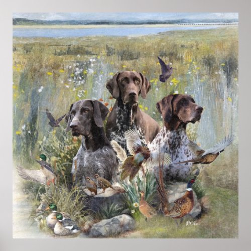 German Shorthaired Pointer  Poster