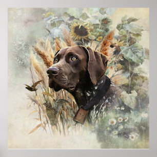 German Shorthaired Pointer Poster