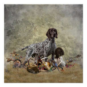 German Shorthaired Pointer Poster