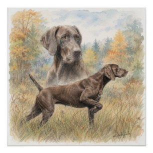 German Shorthaired Pointer Poster