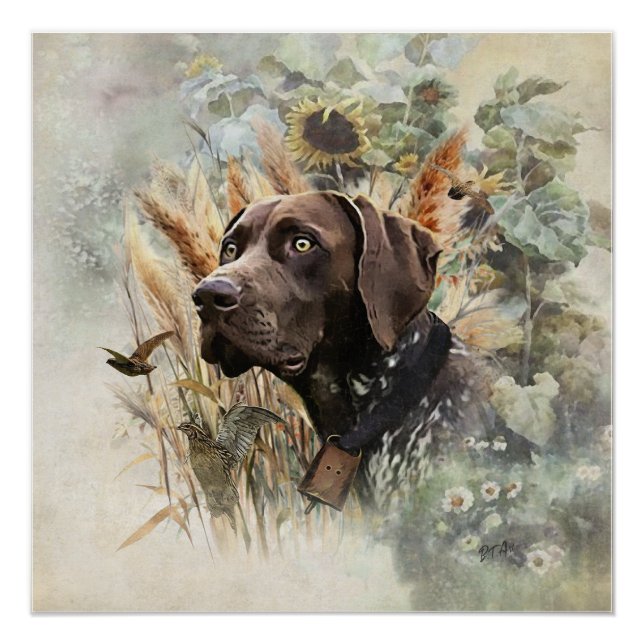 German Shorthaired Pointer Poster (Front)