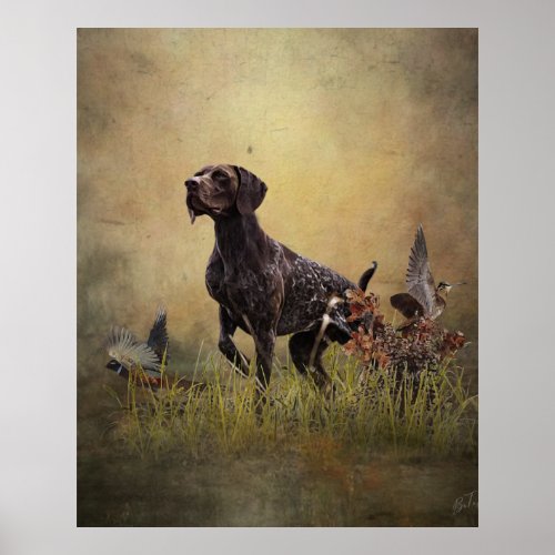 German Shorthaired Pointer   Poster