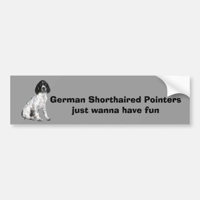 German Shorthaired Pointer Puppy Bumper Sticker (Front)